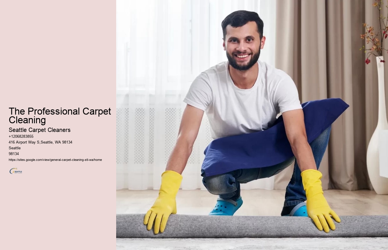 The Professional Carpet Cleaning