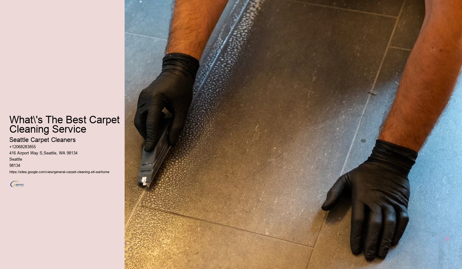 What's The Best Carpet Cleaning Service