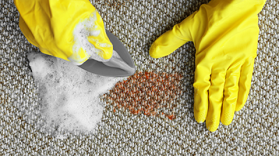 Pet Stain Odor And Urine Remover