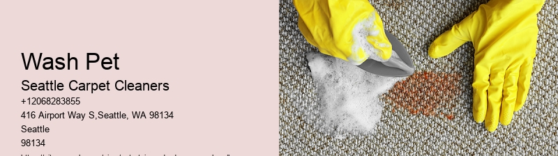 Wash Pet