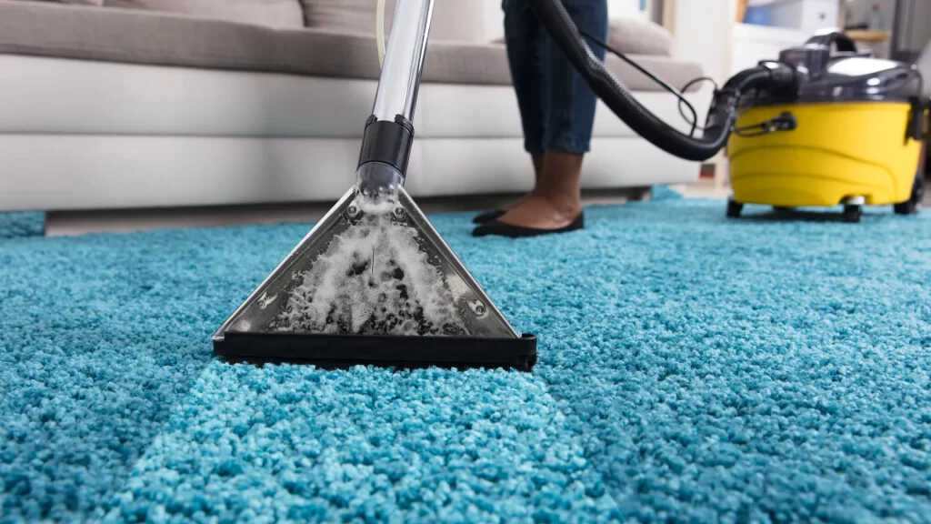 Upholstery Cleaning Rental