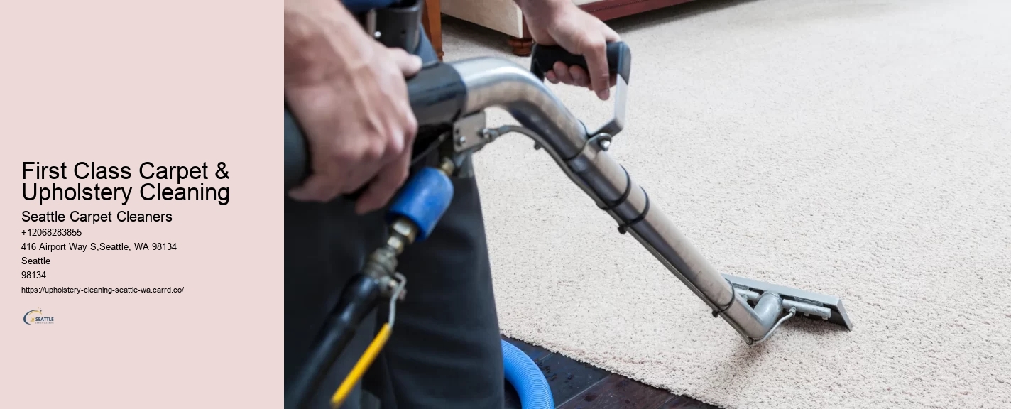 First Class Carpet & Upholstery Cleaning