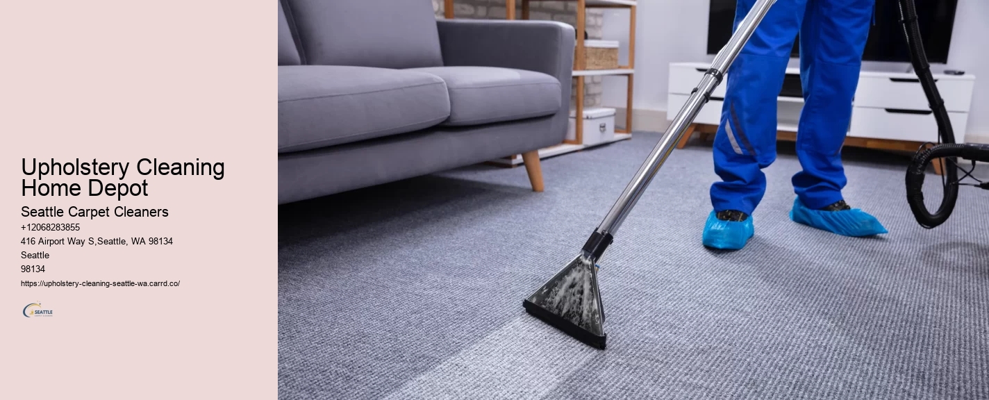 Upholstery Cleaning Home Depot